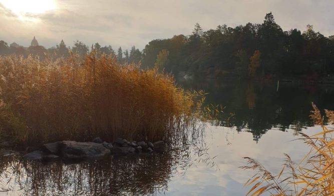 Samtalsterapi Täby